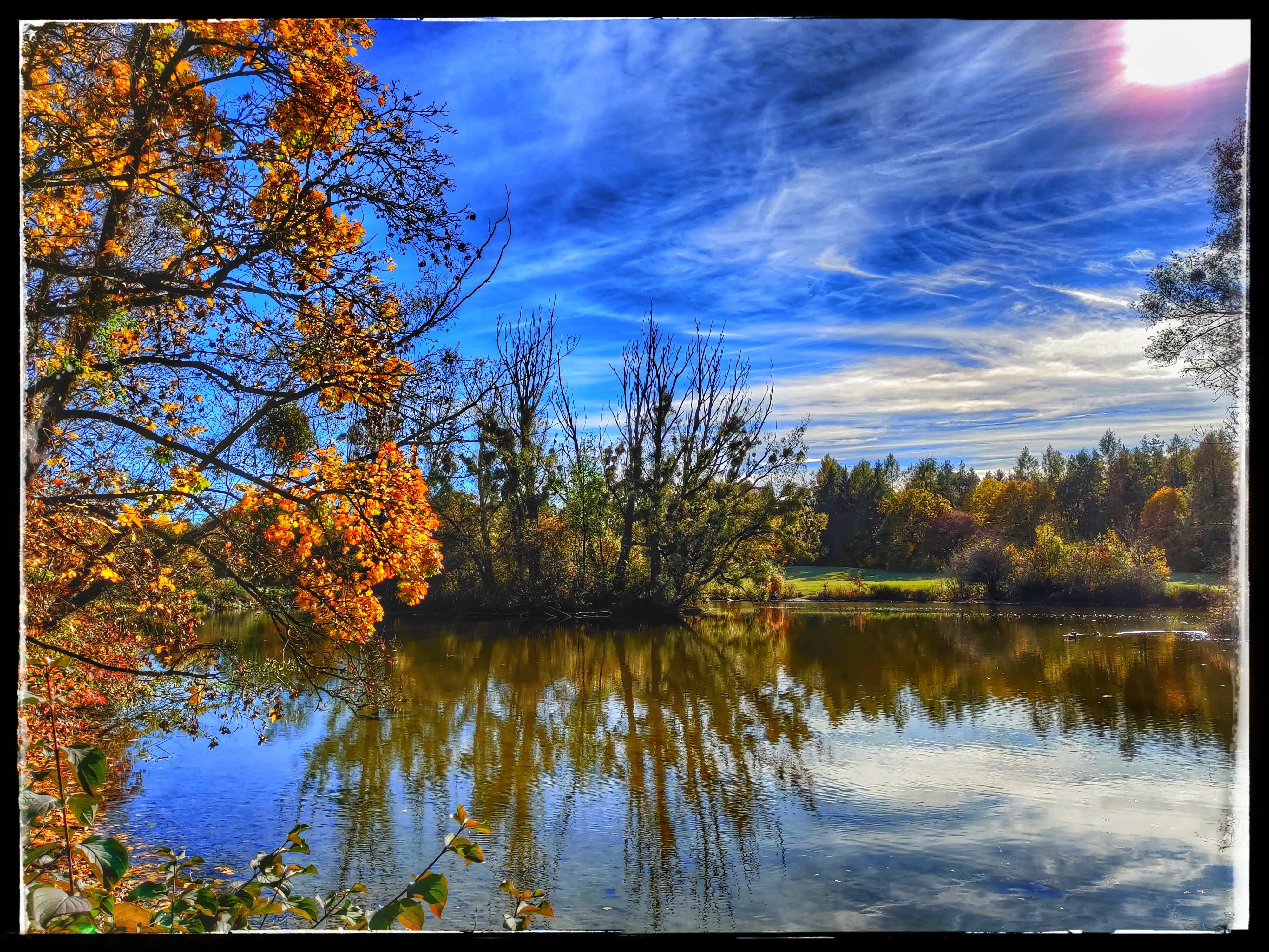 Herbstliche Spiegelung am Wasser